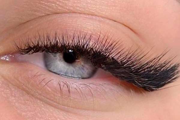 Ресницы лиса